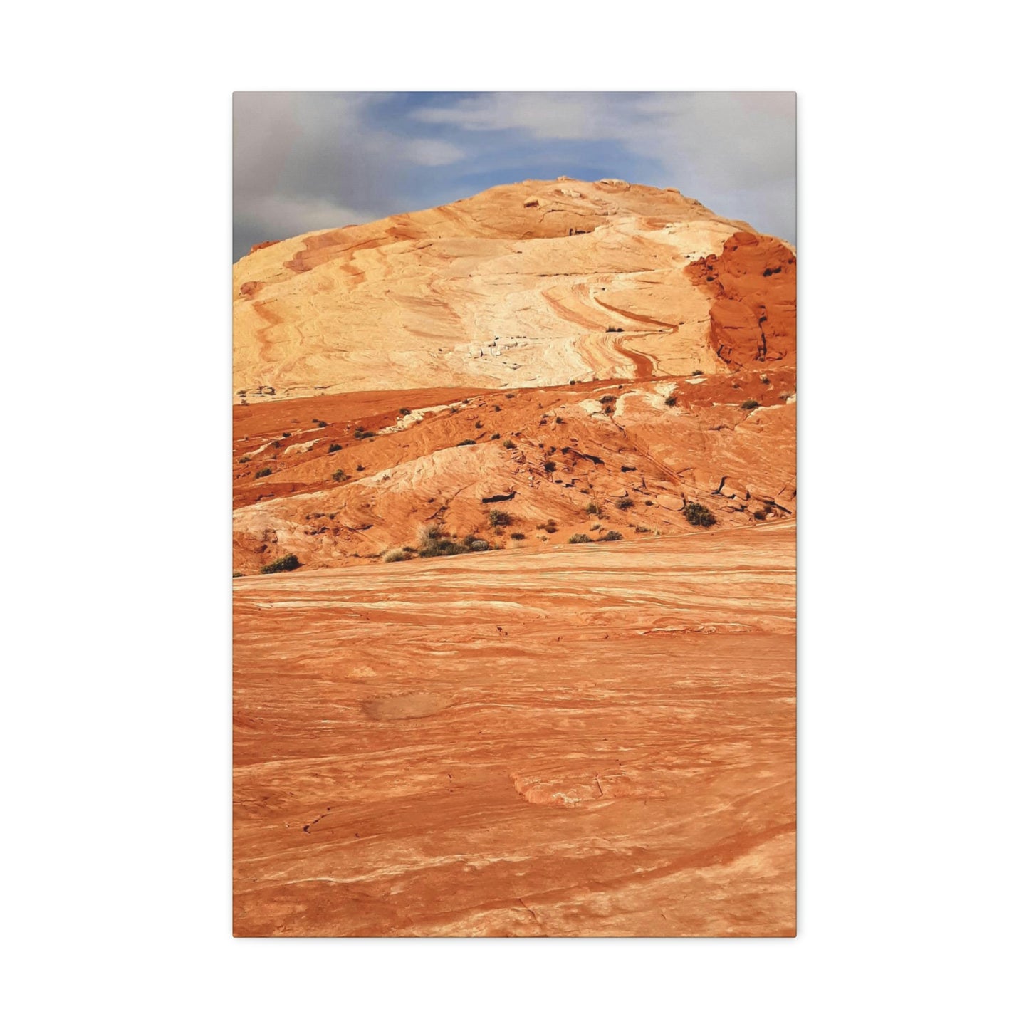 Desert Skies - Canvas Print